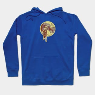 Diana the Huntress - Blue Variant Hoodie